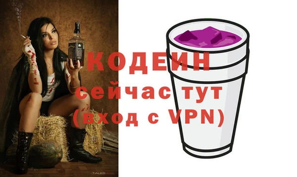 индика Горнозаводск
