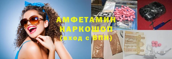 индика Горнозаводск