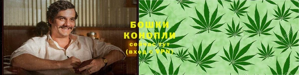 spice Гусиноозёрск