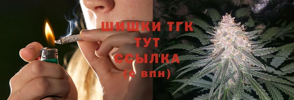 индика Горнозаводск