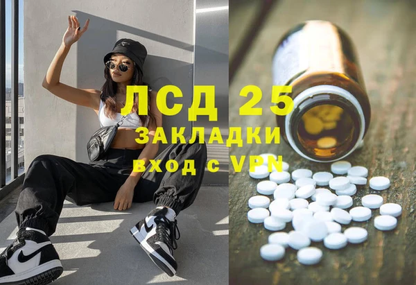индика Горнозаводск