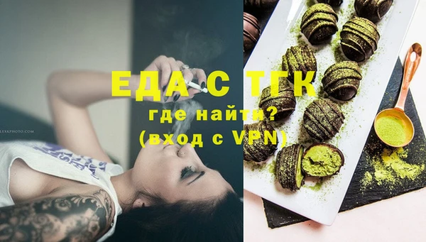 индика Горнозаводск