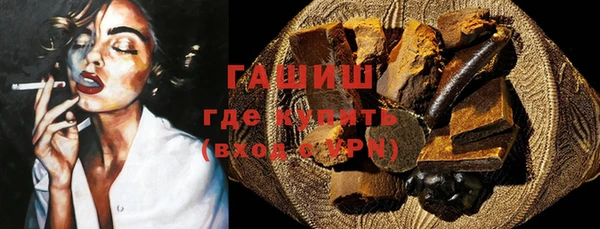 индика Горнозаводск