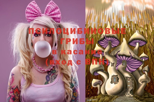 spice Гусиноозёрск