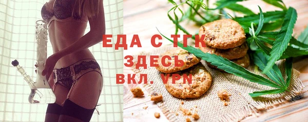 индика Горнозаводск