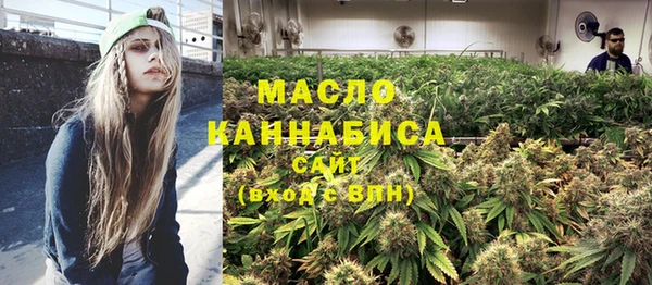 индика Горнозаводск