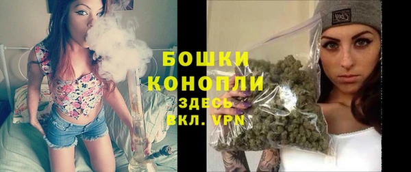 индика Горнозаводск