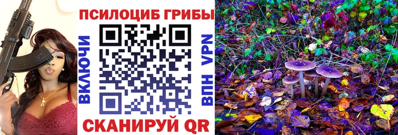 Галлюциногенные грибы Psilocybine cubensis  Судогда 